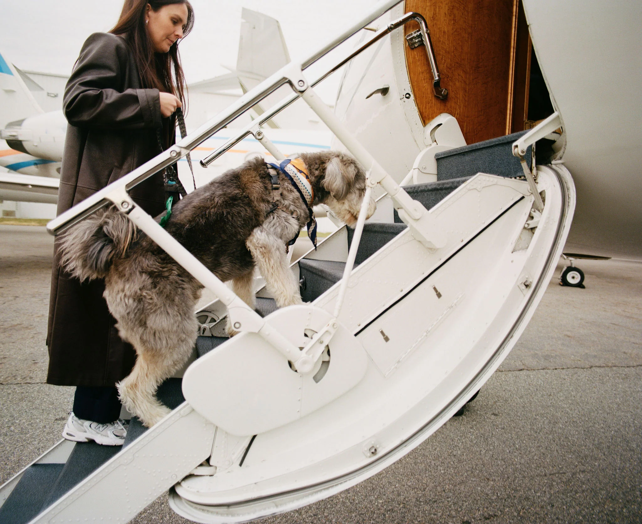The World’s First Dog-First Airline